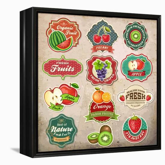 Vintage Retro Grunge Fresh Fruit Labels, Badges and Icons-Catherinecml-Framed Stretched Canvas