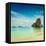 Vintage Retro Hipster Style Travel Image of Pranang Beach. Krabi, Thailand-f9photos-Framed Premier Image Canvas