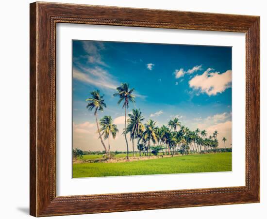 Vintage Retro Hipster Style Travel Image of  Rural Indian Scene - Rice Paddy Field and Palms. Tamil-f9photos-Framed Photographic Print