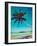 Vintage Retro Hipster Style Travel Image of Tropical Paradise Idyllic Beach with Palm. Sri Lanka-f9photos-Framed Photographic Print