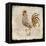 Vintage Rooster Square 2-Kimberly Allen-Framed Stretched Canvas