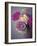 Vintage Rosa-Assaf Frank-Framed Giclee Print