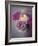 Vintage Rosa-Assaf Frank-Framed Giclee Print