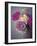 Vintage Rosa-Assaf Frank-Framed Giclee Print