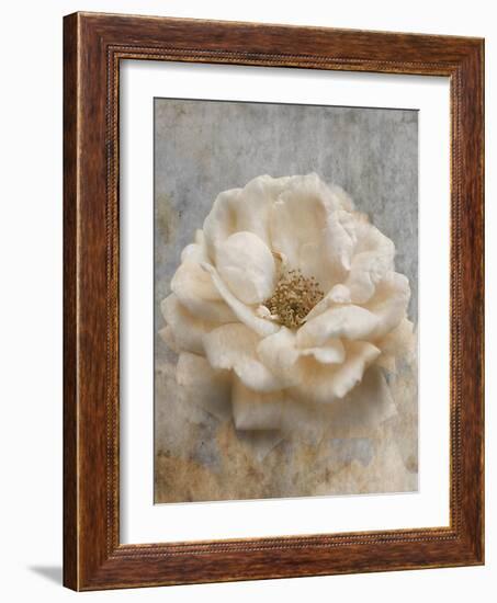 Vintage Rose 1-Jai Johnson-Framed Giclee Print