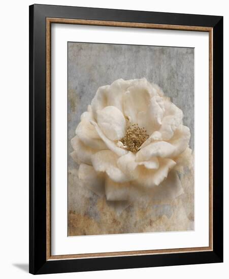 Vintage Rose 1-Jai Johnson-Framed Giclee Print