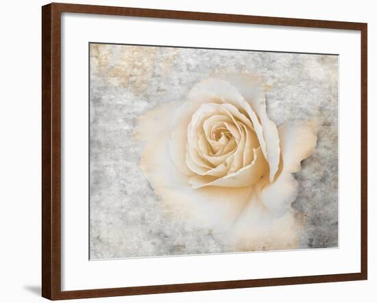 Vintage Rose 2-Jai Johnson-Framed Giclee Print