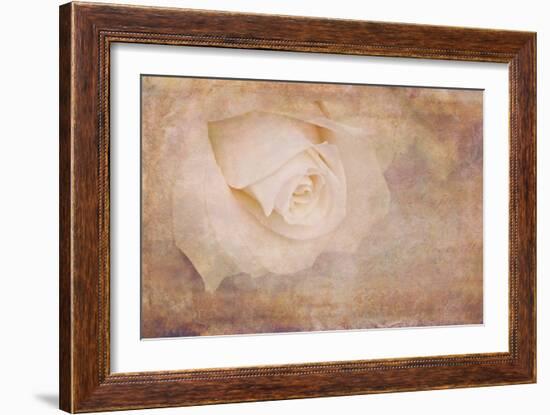 Vintage Rose Card-Cora Niele-Framed Photographic Print