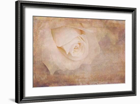 Vintage Rose Card-Cora Niele-Framed Photographic Print