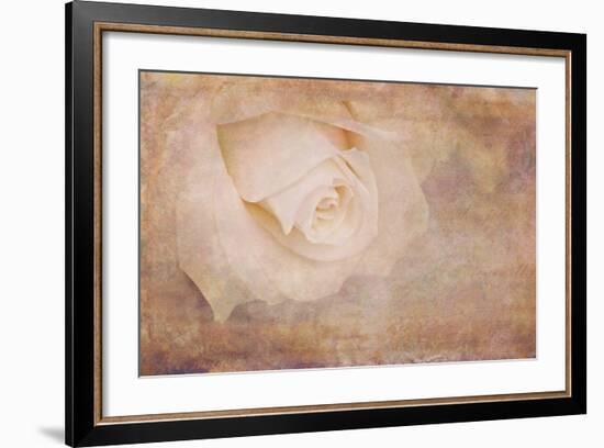 Vintage Rose Card-Cora Niele-Framed Photographic Print