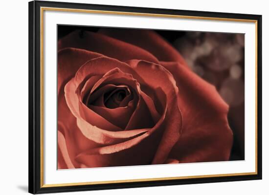 Vintage Rose-Andreas Stridsberg-Framed Giclee Print