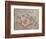 Vintage Rose-Debi Coules-Framed Premium Giclee Print