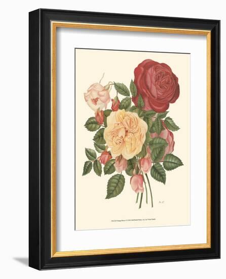 Vintage Roses I-null-Framed Art Print