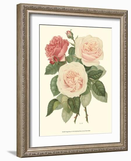 Vintage Roses II-Vision Studio-Framed Art Print