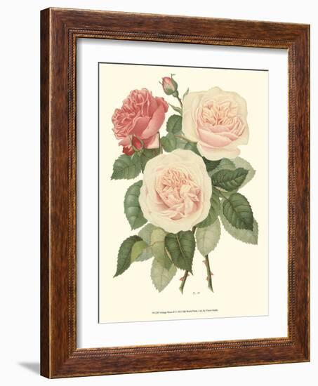 Vintage Roses II-Vision Studio-Framed Art Print