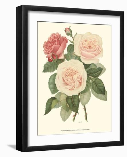Vintage Roses II-Vision Studio-Framed Art Print