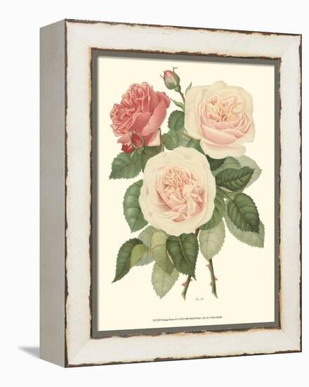 Vintage Roses II-Vision Studio-Framed Stretched Canvas