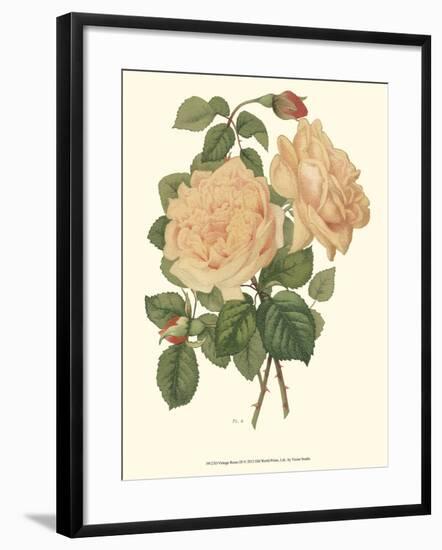 Vintage Roses III-Vision Studio-Framed Art Print