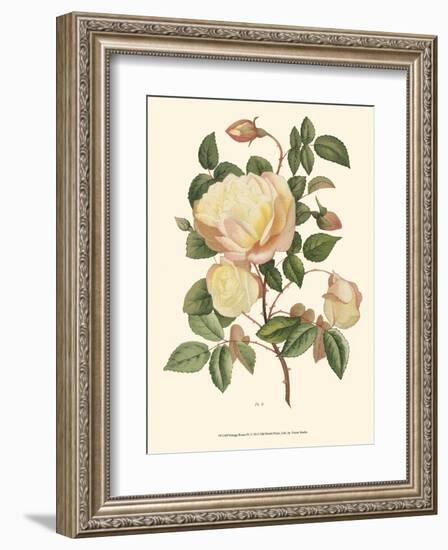 Vintage Roses IV-null-Framed Art Print