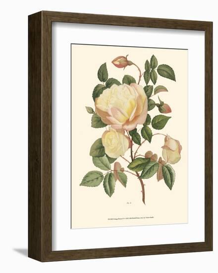 Vintage Roses IV-null-Framed Art Print