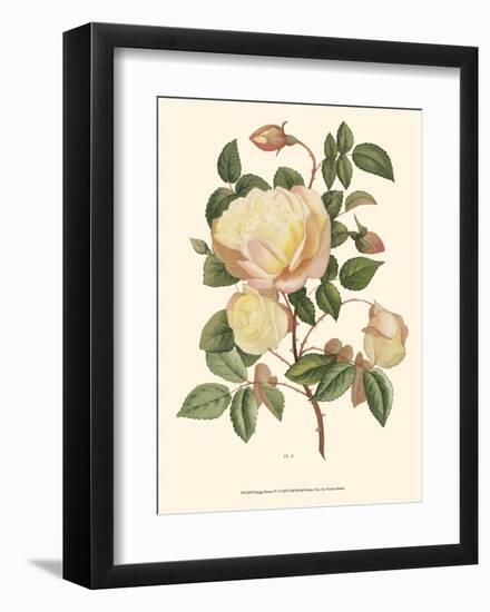 Vintage Roses IV-null-Framed Art Print