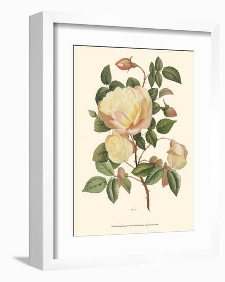 Vintage Roses IV-null-Framed Art Print