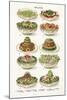 Vintage Salad-The Vintage Collection-Mounted Giclee Print