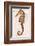 Vintage Seahorse, Hippocampus Hilonis, Sea Horse-Christine Zalewski-Framed Art Print