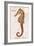 Vintage Seahorse, Hippocampus Hilonis, Sea Horse-Christine Zalewski-Framed Art Print