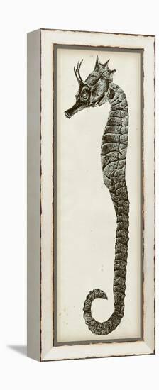 Vintage Seahorse I-null-Framed Stretched Canvas