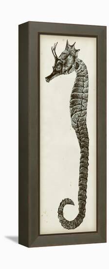 Vintage Seahorse I-null-Framed Stretched Canvas