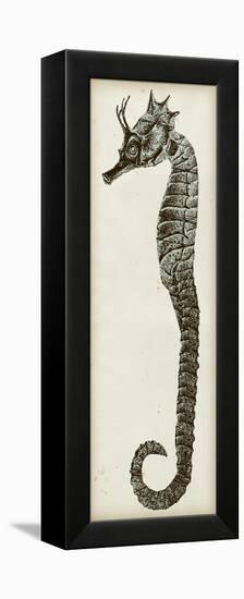 Vintage Seahorse I-null-Framed Stretched Canvas