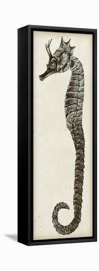 Vintage Seahorse I-null-Framed Stretched Canvas