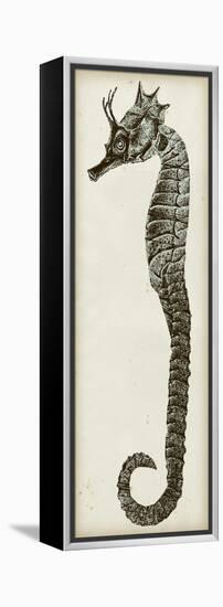 Vintage Seahorse I-null-Framed Stretched Canvas