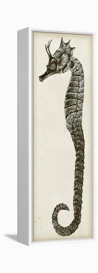 Vintage Seahorse I-null-Framed Stretched Canvas