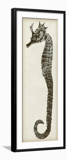 Vintage Seahorse I-null-Framed Art Print