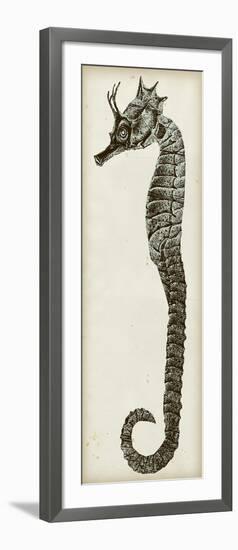 Vintage Seahorse I-null-Framed Art Print