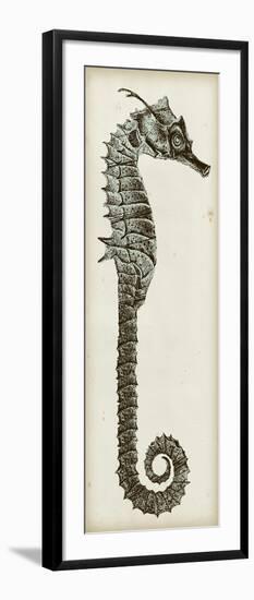 Vintage Seahorse II-null-Framed Art Print