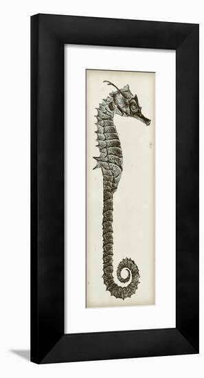 Vintage Seahorse II-null-Framed Art Print