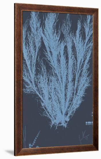 Vintage Seaweed - Wave-Henry Bradbury-Framed Giclee Print