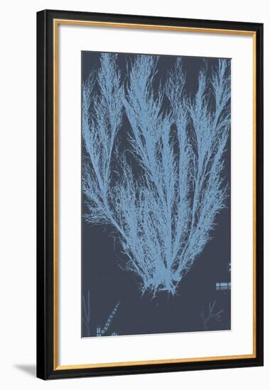 Vintage Seaweed - Wave-Henry Bradbury-Framed Giclee Print
