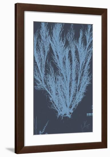 Vintage Seaweed - Wave-Henry Bradbury-Framed Giclee Print