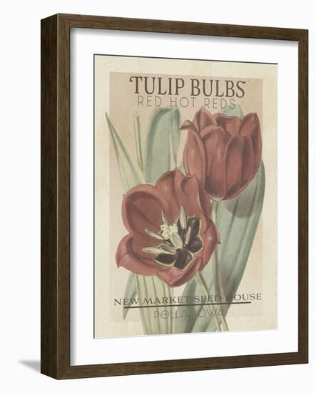 Vintage Seed Packets VI-Studio W-Framed Art Print