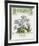 Vintage Seeds I-Maria Mendez-Framed Giclee Print