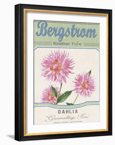 Vintage Seeds II-Maria Mendez-Framed Giclee Print