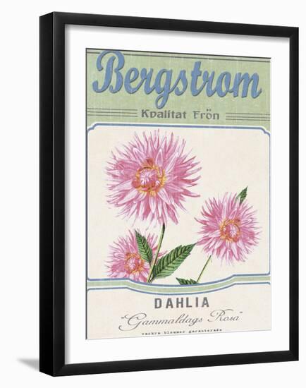 Vintage Seeds II-Maria Mendez-Framed Giclee Print