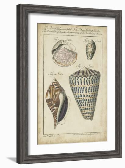 Vintage Shell Study II-Martini-Framed Art Print