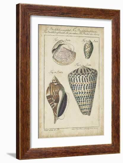 Vintage Shell Study II-Martini-Framed Art Print