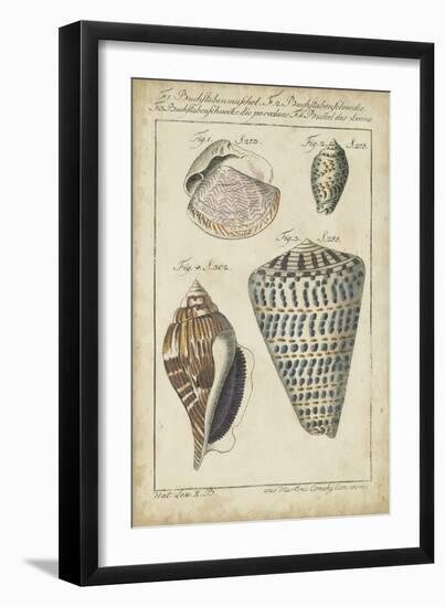 Vintage Shell Study II-Martini-Framed Art Print