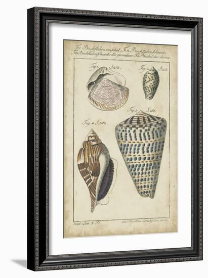 Vintage Shell Study II-Martini-Framed Art Print